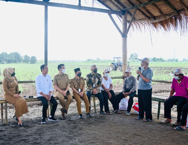 Presiden Dorong Kemandirian Gula Nasional