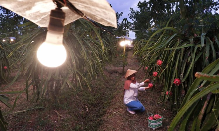 PLN Siap Dorong Ekonomi dengan Listrik Andal