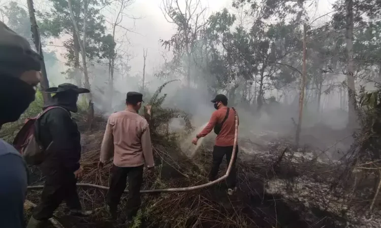 Upaya pemadaman kebakaran lahan gambut di Kecamatan Sungai Raya, Kabupaten Kubu Raya, Kalimantan Barat, Senin, 14 Agustus 2023.