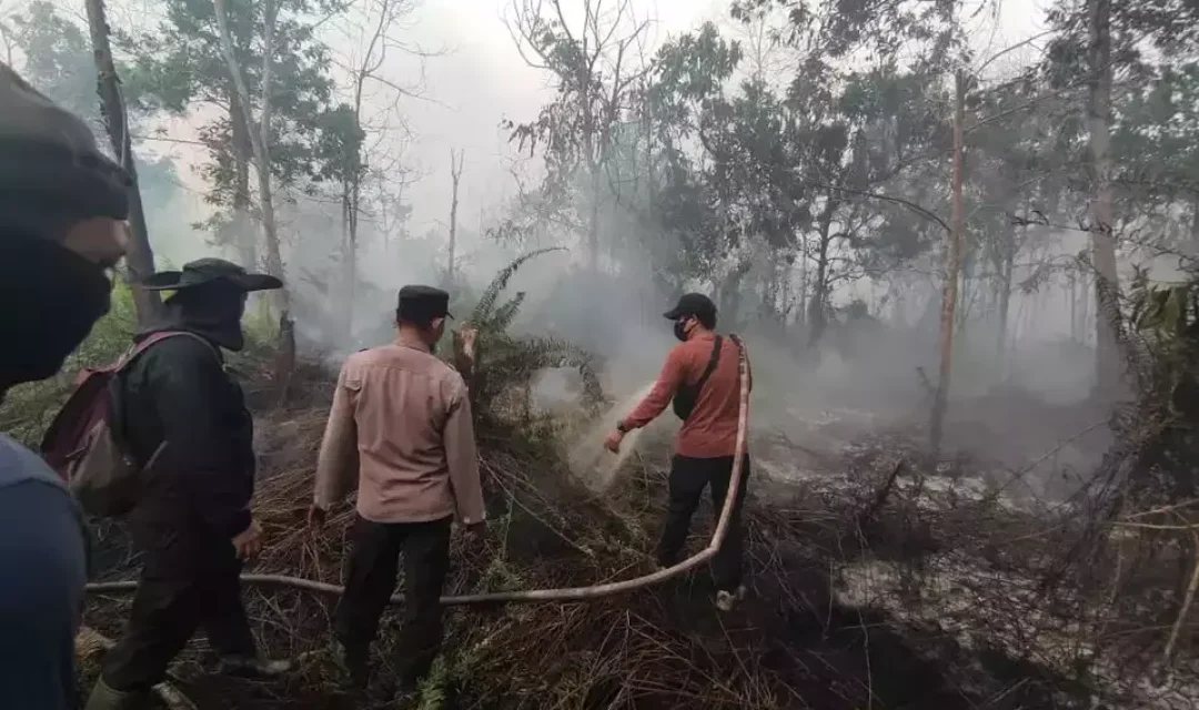 Upaya pemadaman kebakaran lahan gambut di Kecamatan Sungai Raya, Kabupaten Kubu Raya, Kalimantan Barat, Senin, 14 Agustus 2023.