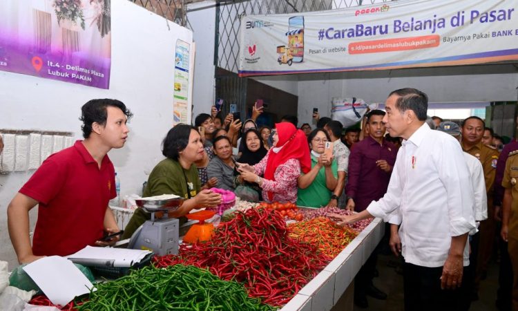 Presiden Jokowi Pantau Harga Komoditas di Delimas Pasar Raya Lubuk Pakam