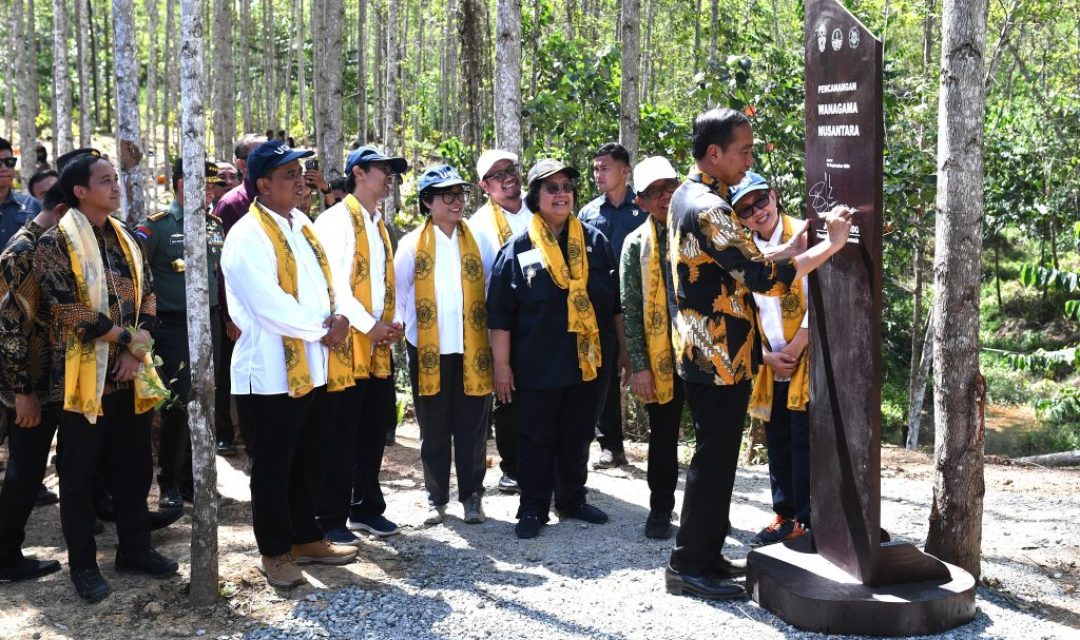 Presiden Jokowi Canangkan Kawasan Wanagama Nusantara di IKN