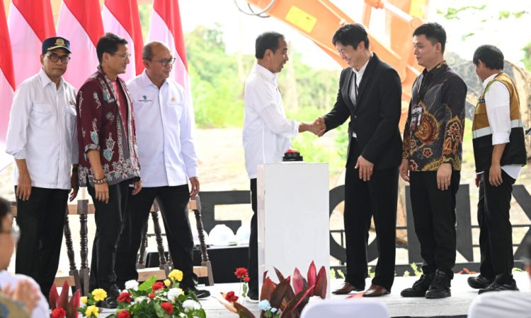 Presiden Jokowi Lakukan Groundbreaking Delonix Nusantara, Bukti Kepercayaan Investor Global