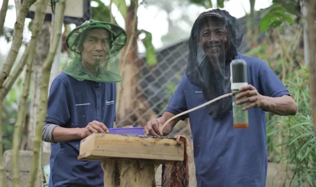 Bagian-dari-Perhutanan-Sosial-Hutan-Pertamina-Tanam-Lebih-Dari-Enam-Juta-Pohon-2-3419025363.jpeg