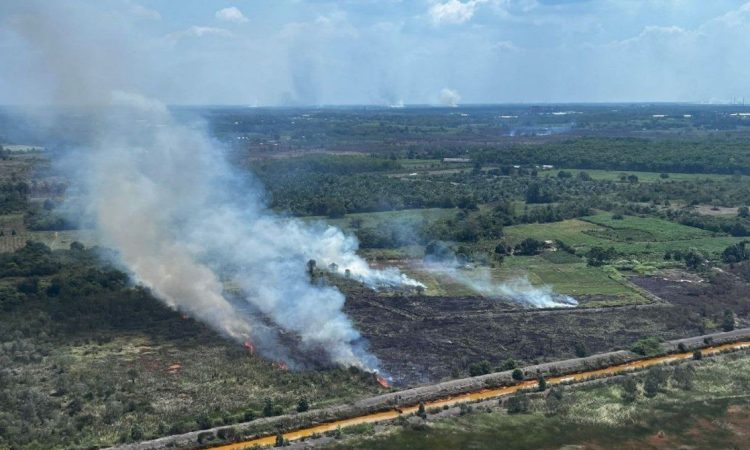 Kebakaran Hutan dan Lahan (Karhutla) di Kalimantan Selatan (Foto: Antara)