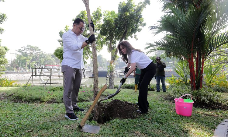 Wali Kota Eri Cahyadi bersama  Deputy CEO PT Kamadjaja Logistics Ivy Kamadjaja secara simbolis melakukan penanaman pohon tabebuya.