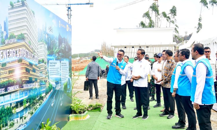 Presiden Jokowi Minta Optimalkan Pemanfaatan Energi Hijau di IKN