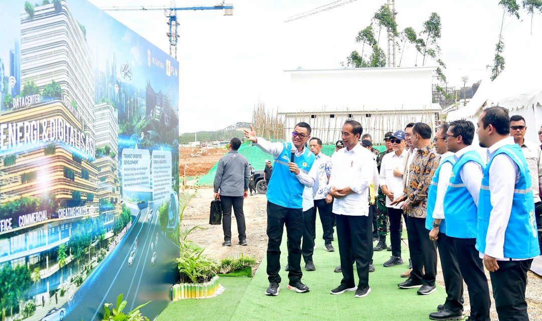 Presiden Jokowi Minta Optimalkan Pemanfaatan Energi Hijau di IKN