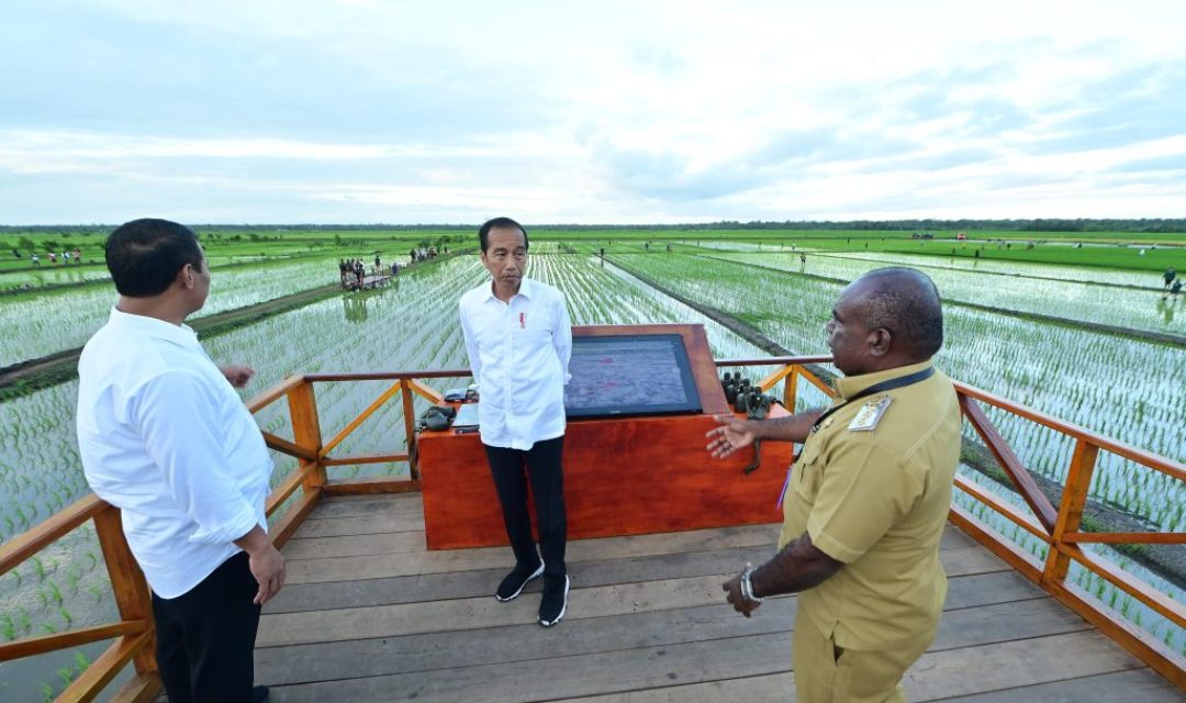 Presiden Jokowi dan Ibu Iriana Tinjau Simulasi Drone Tabur Pupuk di Papua Selatan