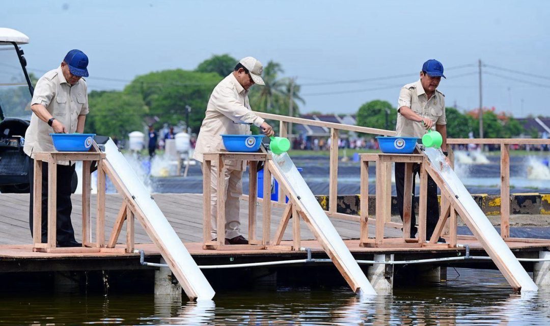 Presiden Prabowo Subianto Tinjau Kawasan BLUPPB Karawang, Dorong Swasembada Pangan dan Ekonomi Biru