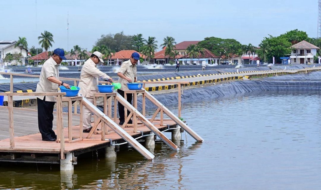 Presiden Prabowo Tinjau Kawasan BLUPPB Karawang, Dorong Swasembada Pangan dan