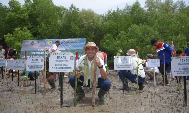 Upaya-Mitigasi-Perubahan-Iklim-Pertamina-Rehabilitasi-Mangrove-di-Nusa-Tenggara-Timur-1-1510397203.jpg