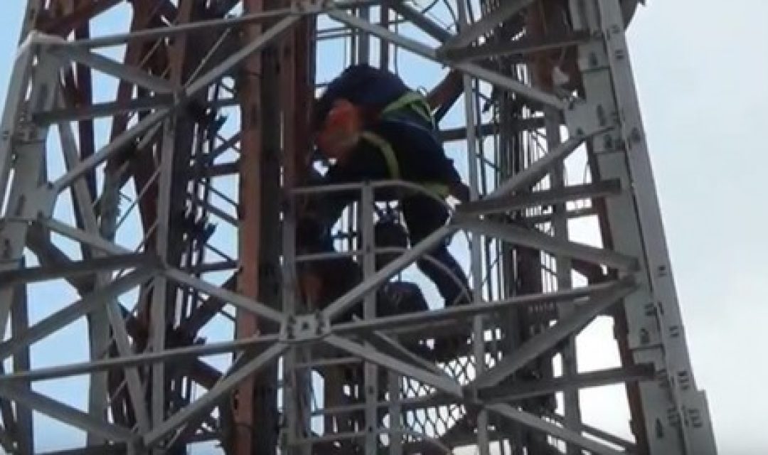 Diduga Stres, Pria di Sidoarjo Naik Tower BTS 42 Meter Hingga 11 Jam. (Dok medcom)