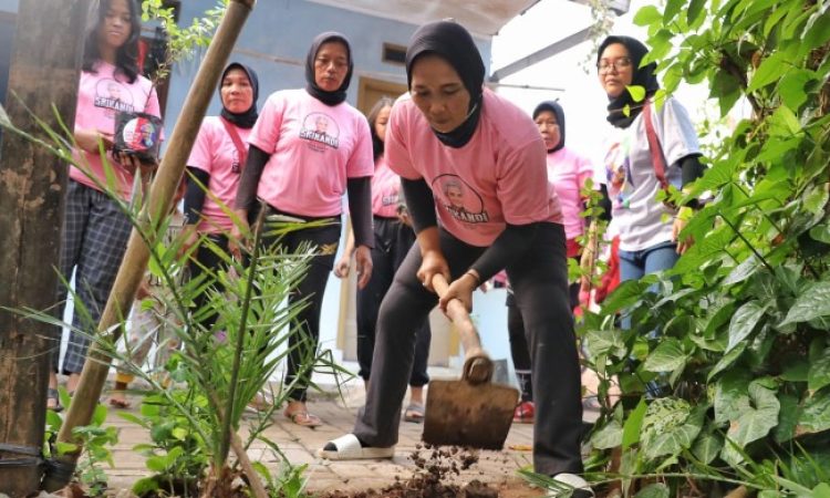 Sukarelawan Srikandi Ganjar Banten mengadakan kegiatan pembagian bibit tanaman buah-buahan bersama Komunitas Armada di RT 07/RW 01, Kelurahan Pondok Karya, Kecamatan Pondok Aren, Tangerang Selatan, Banten (Foto: rm.id)