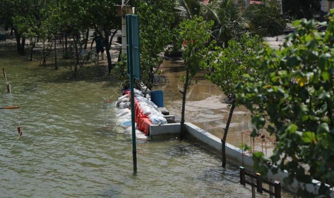 banjir-rob-ancol-cnbc-indonesiatri-susilo-3_169