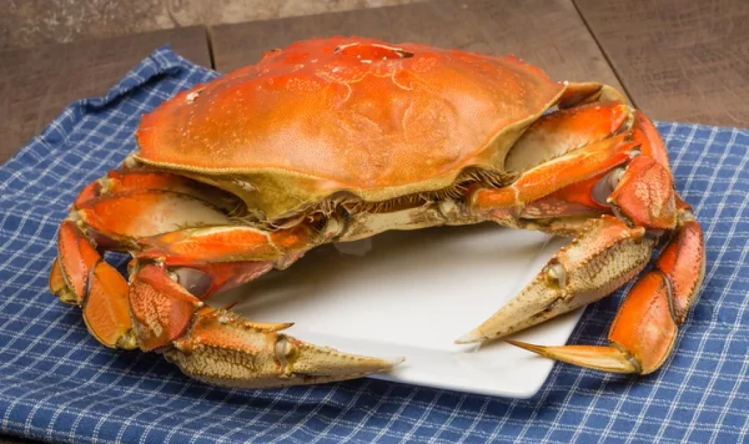 crab