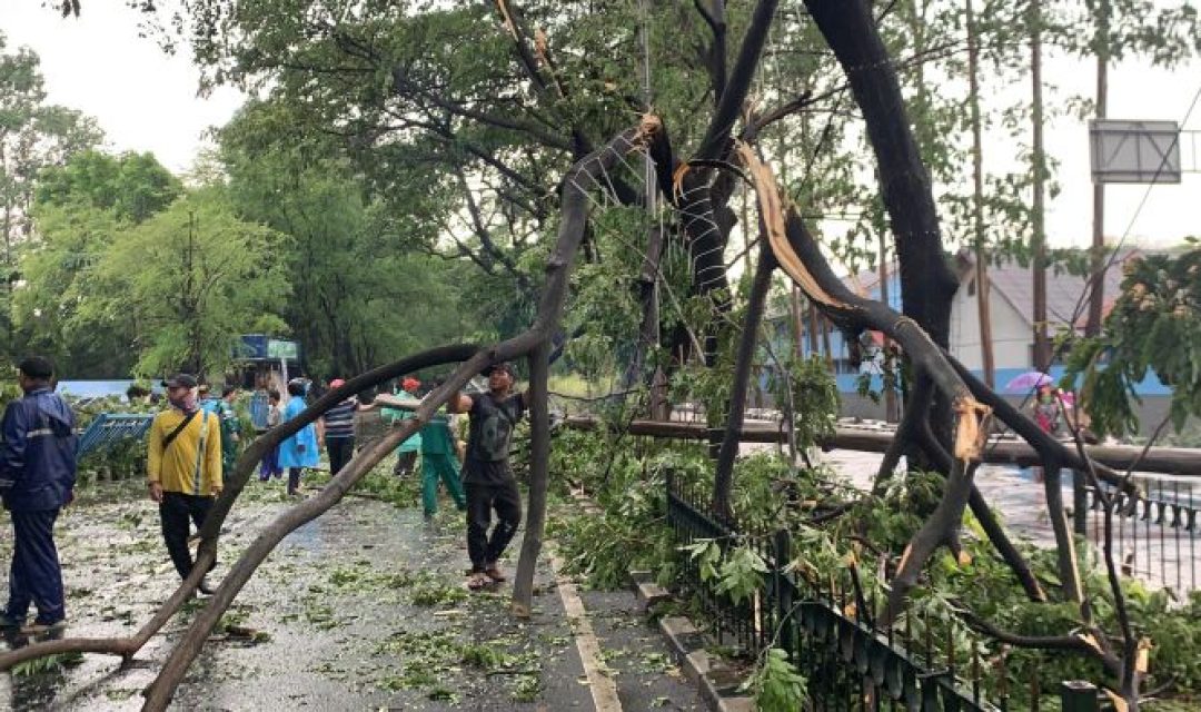 hujan-disertai-angin-kencang-jalan-di-tangerang-lumpuh-akibat-pohon-tumbang-cv14WXuR4Q