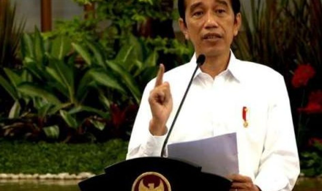 jokowi-sidkab-2