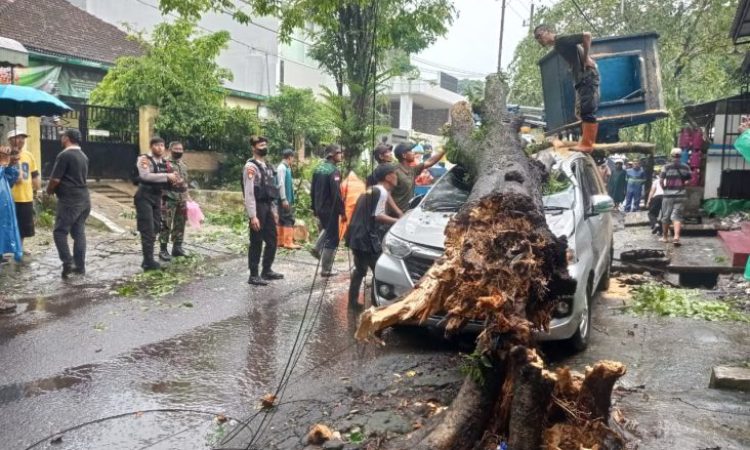 kota-malang-diterjang-hujan-es-dan-badai-pohon-tumbang-timpa-mobil-bmb