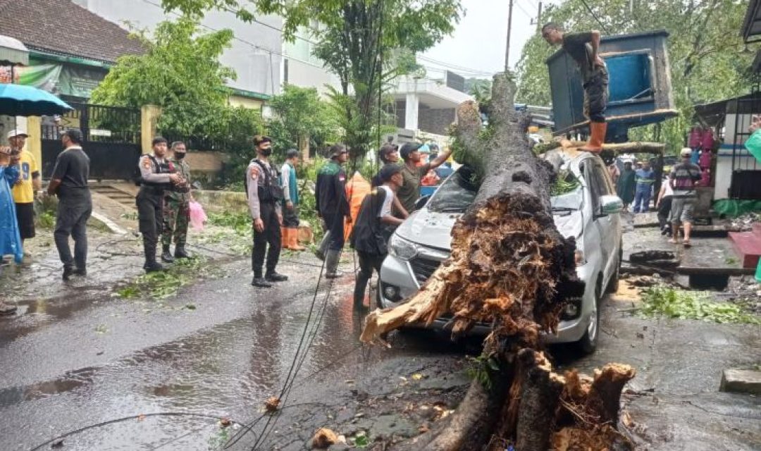 kota-malang-diterjang-hujan-es-dan-badai-pohon-tumbang-timpa-mobil-bmb