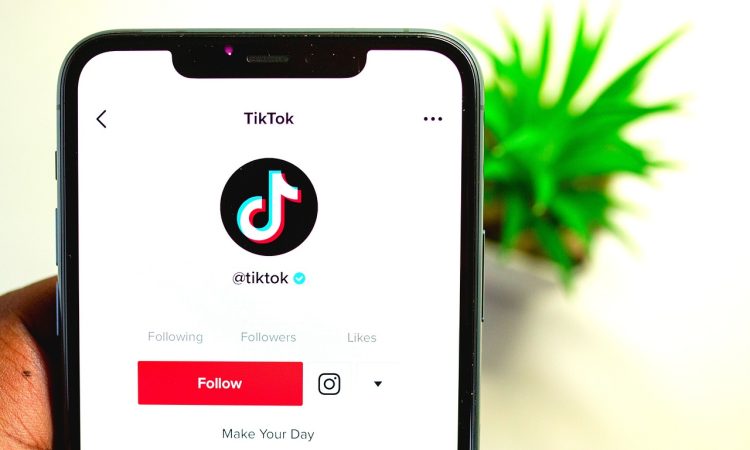 foto ilustrasi pixabay tiktok